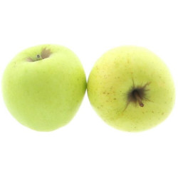 POMME GOLDEN LOT C 12KG